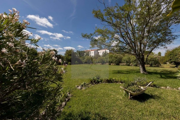 Quinta T6 para Venda em Alcabideche Foto 3