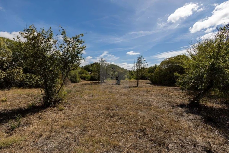 Quinta T6 para Venda em Alcabideche Foto 44