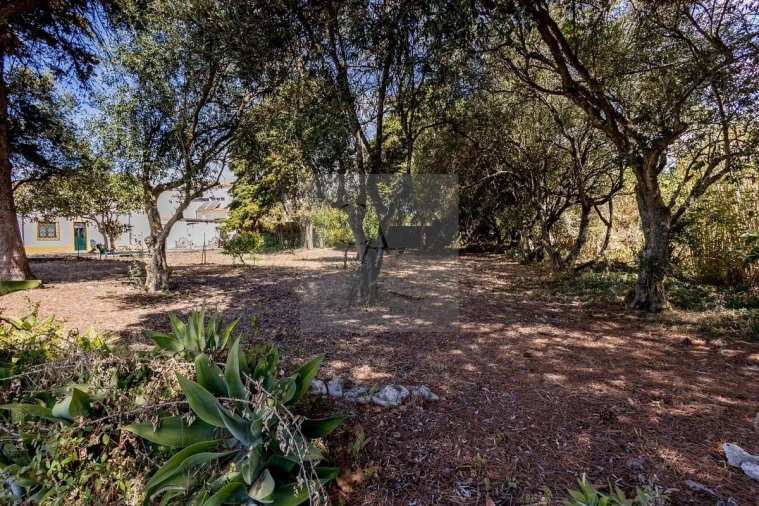 Quinta T6 para Venda em Alcabideche Foto 12