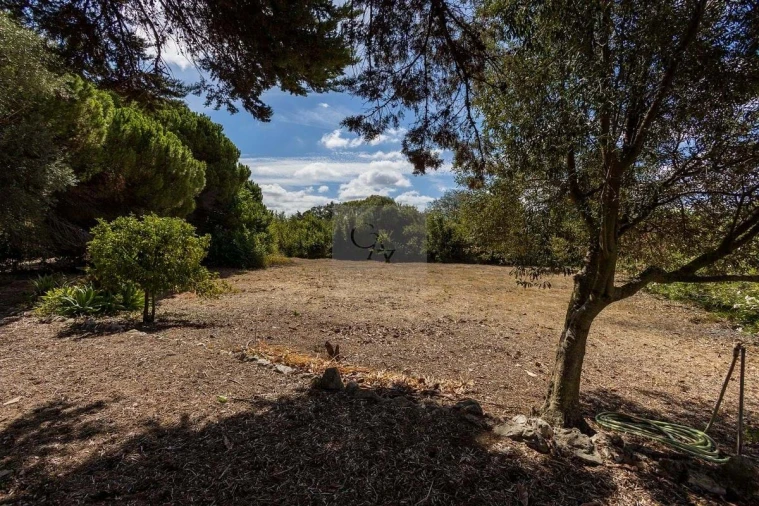 Quinta T6 para Venda em Alcabideche Foto 33