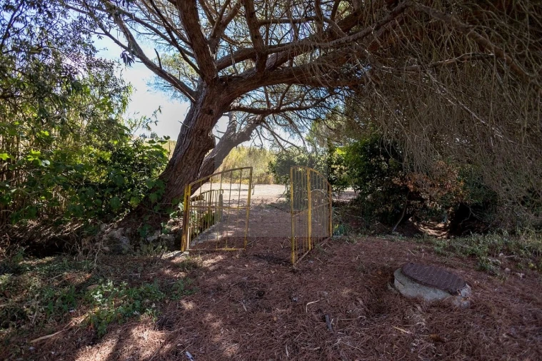 Quinta T6 para Venda em Alcabideche Foto 4