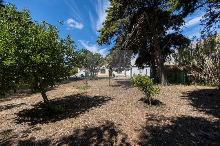 Quinta T6 para Venda em Alcabideche Foto 33