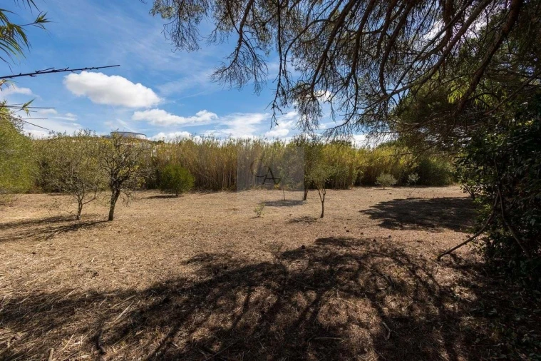 Quinta T6 para Venda em Alcabideche Foto 29