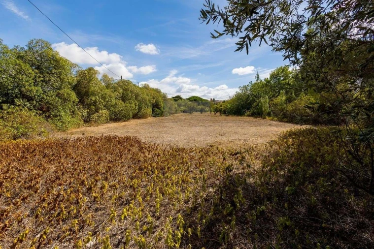 Quinta T6 para Venda em Alcabideche Foto 46