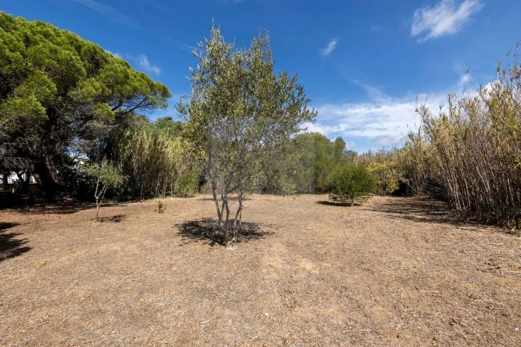 Quinta T6 para Venda em Alcabideche Foto 43