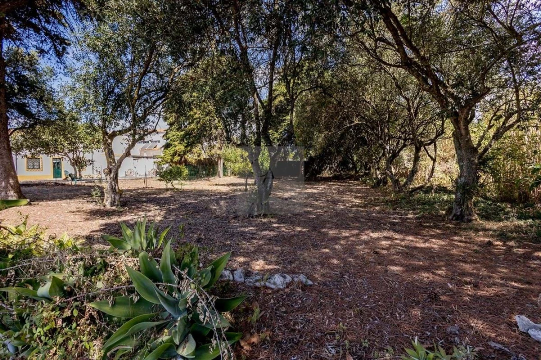 Quinta T6 para Venda em Alcabideche Foto 31