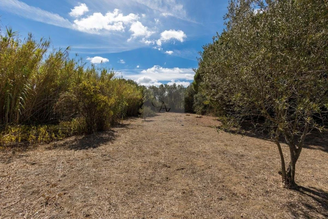 Quinta T6 para Venda em Alcabideche Foto 28