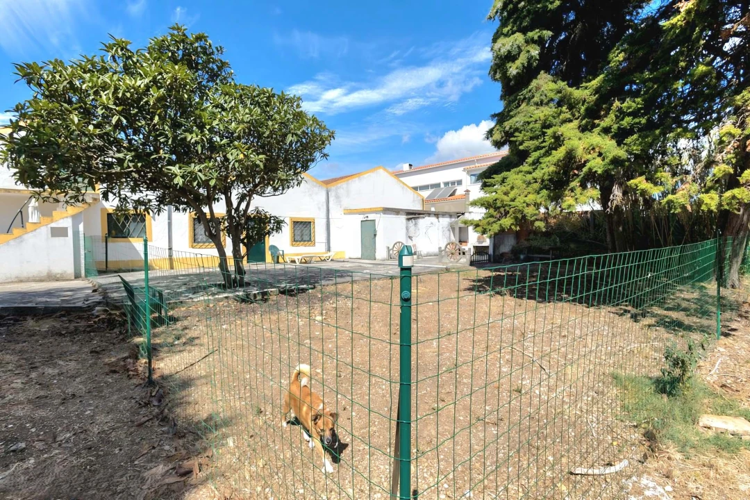 Quinta T6 para Venda em Alcabideche Foto 15