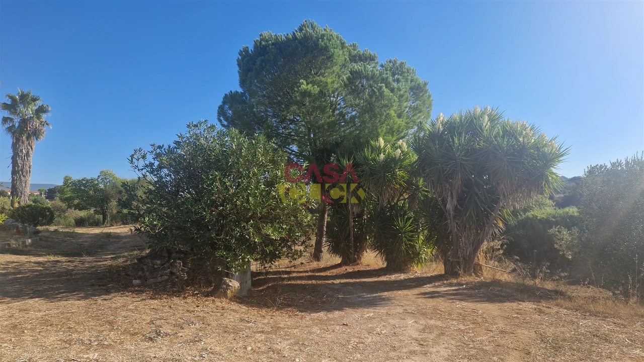 Moradia T6 para Venda em Alcanena e Vila Moreira Foto 17