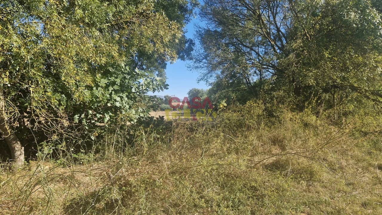 Moradia T6 para Venda em Alcanena e Vila Moreira Foto 39