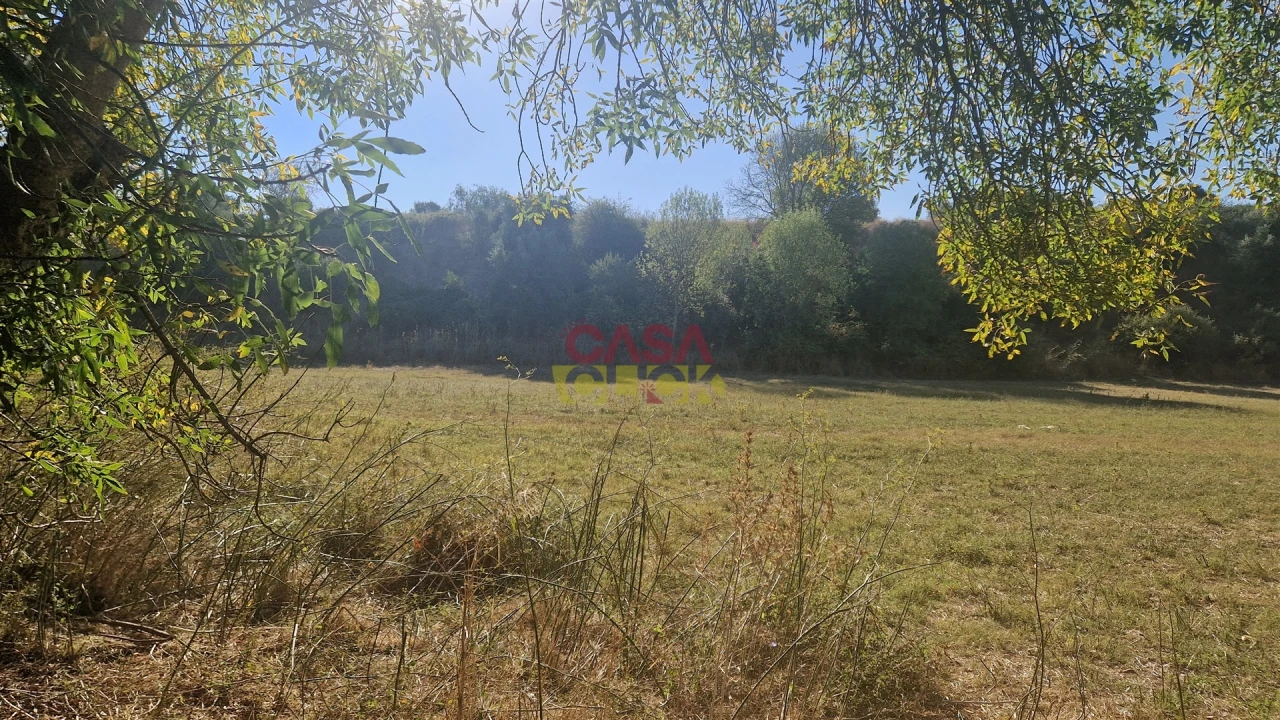 Moradia T6 para Venda em Alcanena e Vila Moreira Foto 32