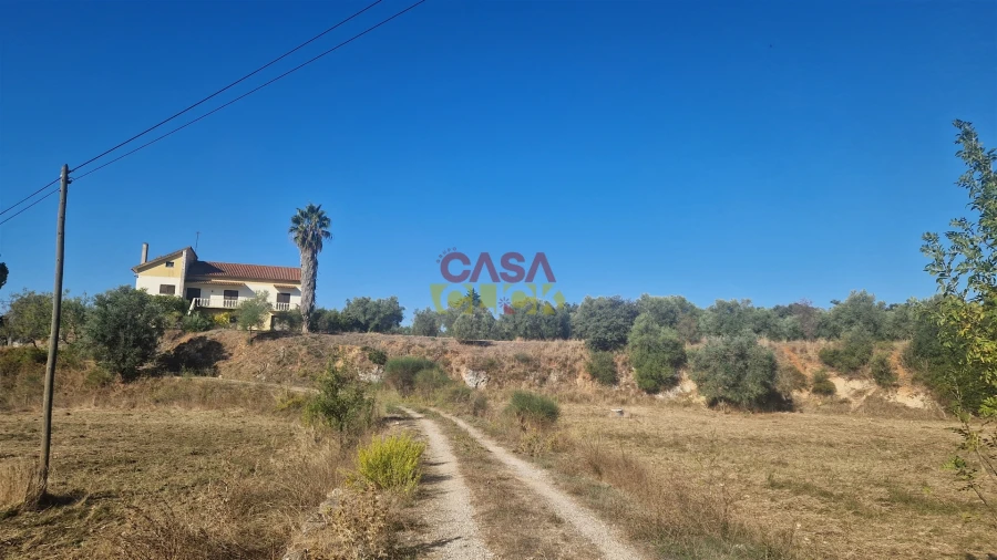 Moradia T6 para Venda em Alcanena e Vila Moreira Foto 6