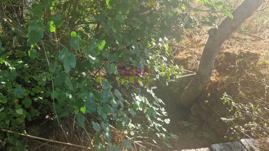 Moradia T6 para Venda em Alcanena e Vila Moreira Foto 31