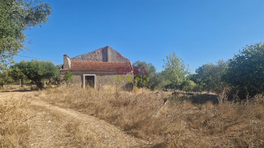 Moradia T6 para Venda em Alcanena e Vila Moreira Foto 44