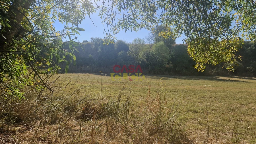 Moradia T6 para Venda em Alcanena e Vila Moreira Foto 32