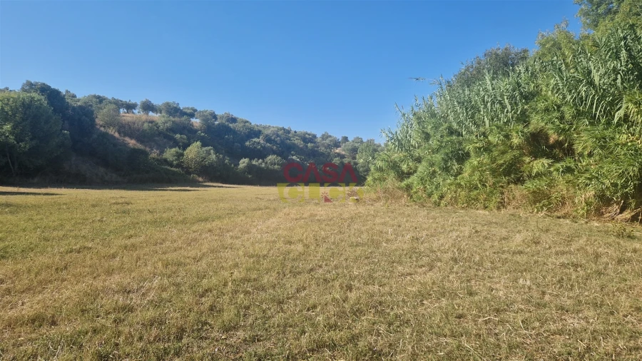 Moradia T6 para Venda em Alcanena e Vila Moreira Foto 35