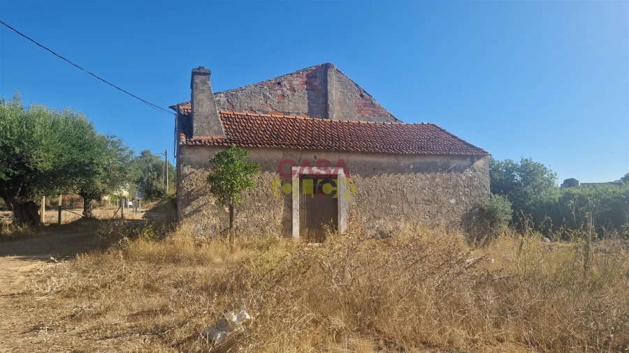 Moradia T6 para Venda em Alcanena e Vila Moreira Foto 45