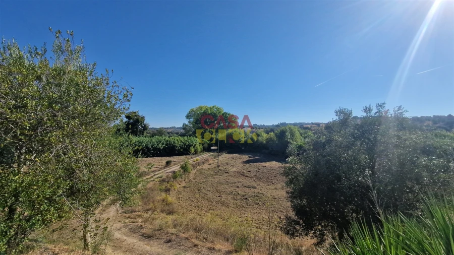 Moradia T6 para Venda em Alcanena e Vila Moreira Foto 62