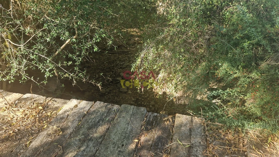 Moradia T6 para Venda em Alcanena e Vila Moreira Foto 30