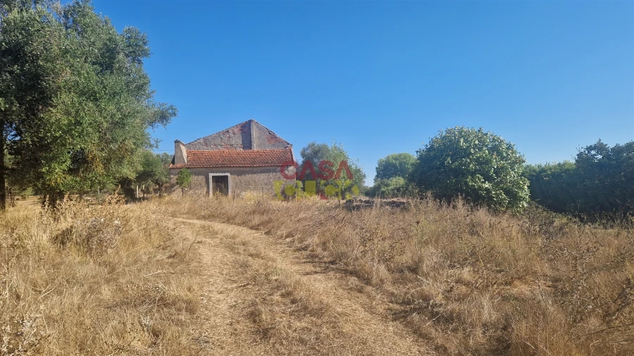 Moradia T6 para Venda em Alcanena e Vila Moreira Foto 42