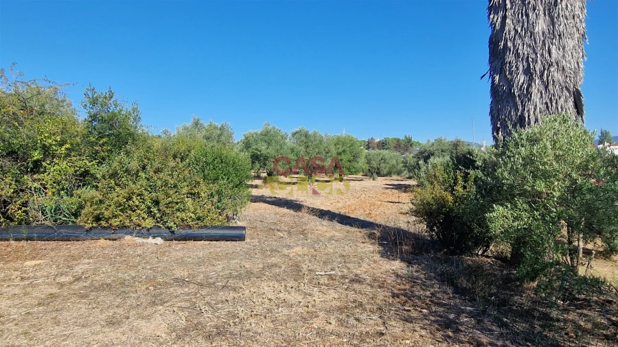 Moradia T6 para Venda em Alcanena e Vila Moreira Foto 67