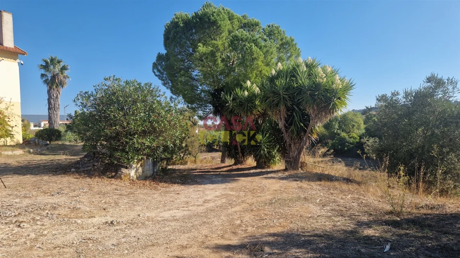 Moradia T6 para Venda em Alcanena e Vila Moreira Foto 55