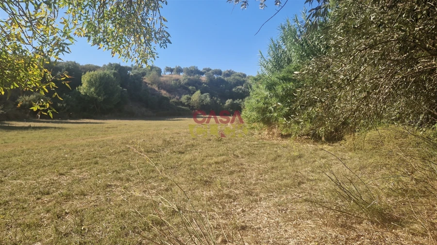 Moradia T6 para Venda em Alcanena e Vila Moreira Foto 33