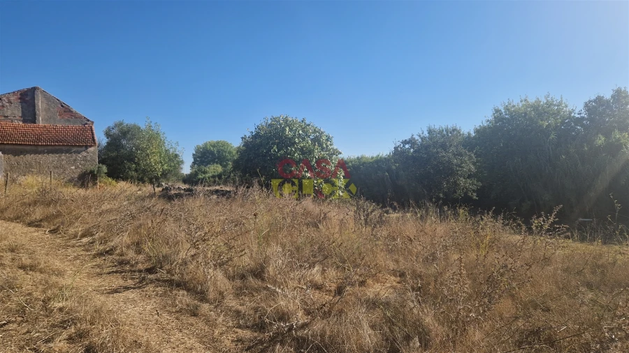 Moradia T6 para Venda em Alcanena e Vila Moreira Foto 43