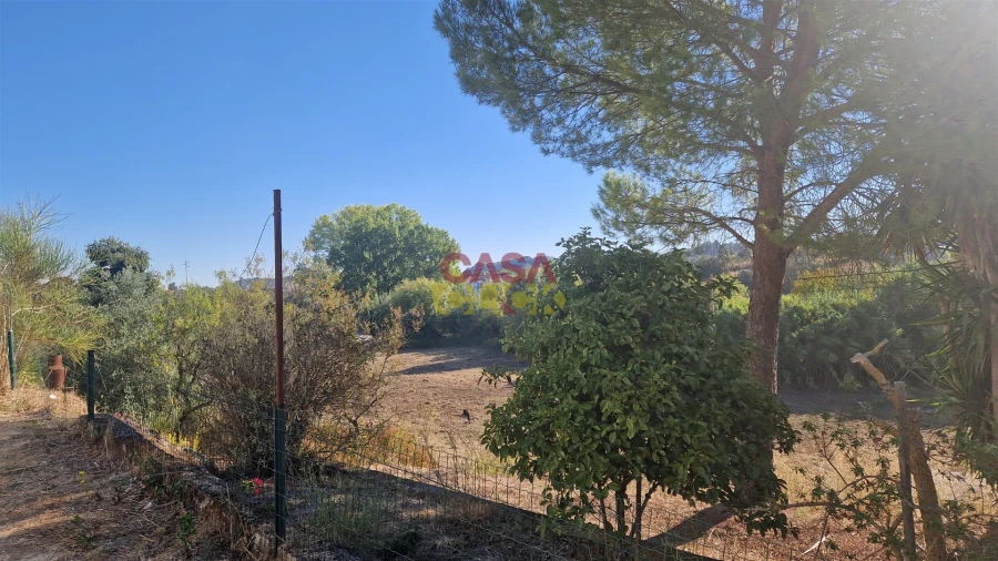 Moradia T6 para Venda em Alcanena e Vila Moreira Foto 57