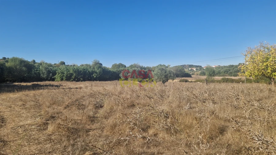 Moradia T6 para Venda em Alcanena e Vila Moreira Foto 29