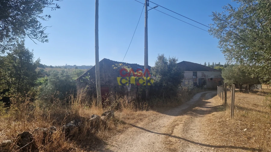 Moradia T6 para Venda em Alcanena e Vila Moreira Foto 18