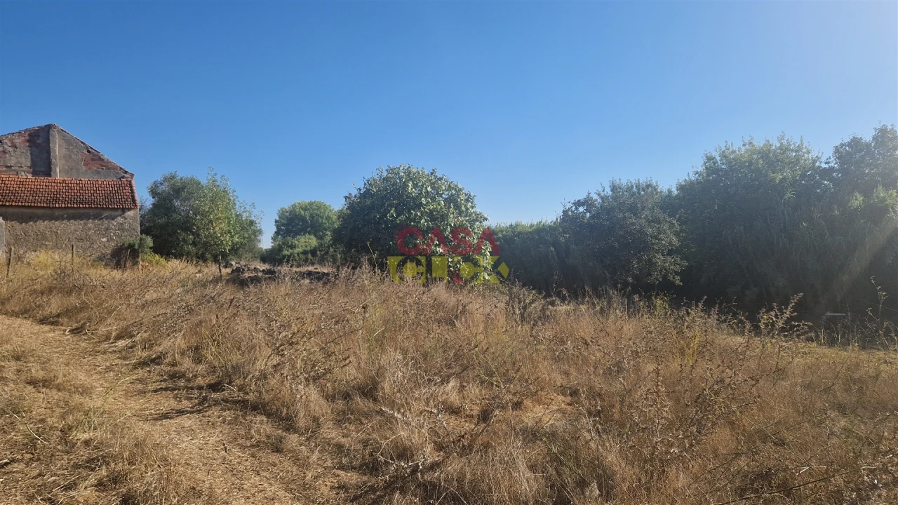 Moradia T6 para Venda em Alcanena e Vila Moreira Foto 43