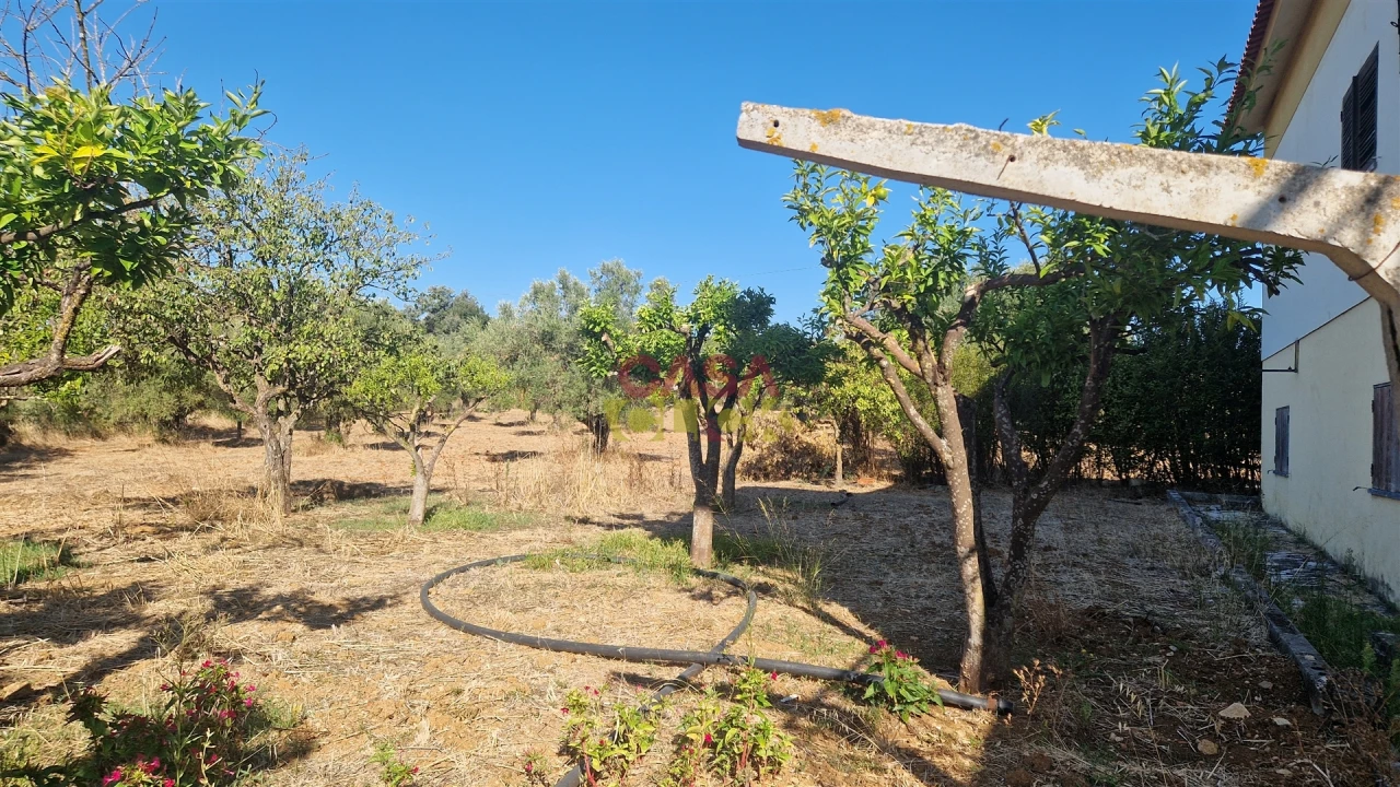 Moradia T6 para Venda em Alcanena e Vila Moreira Foto 69