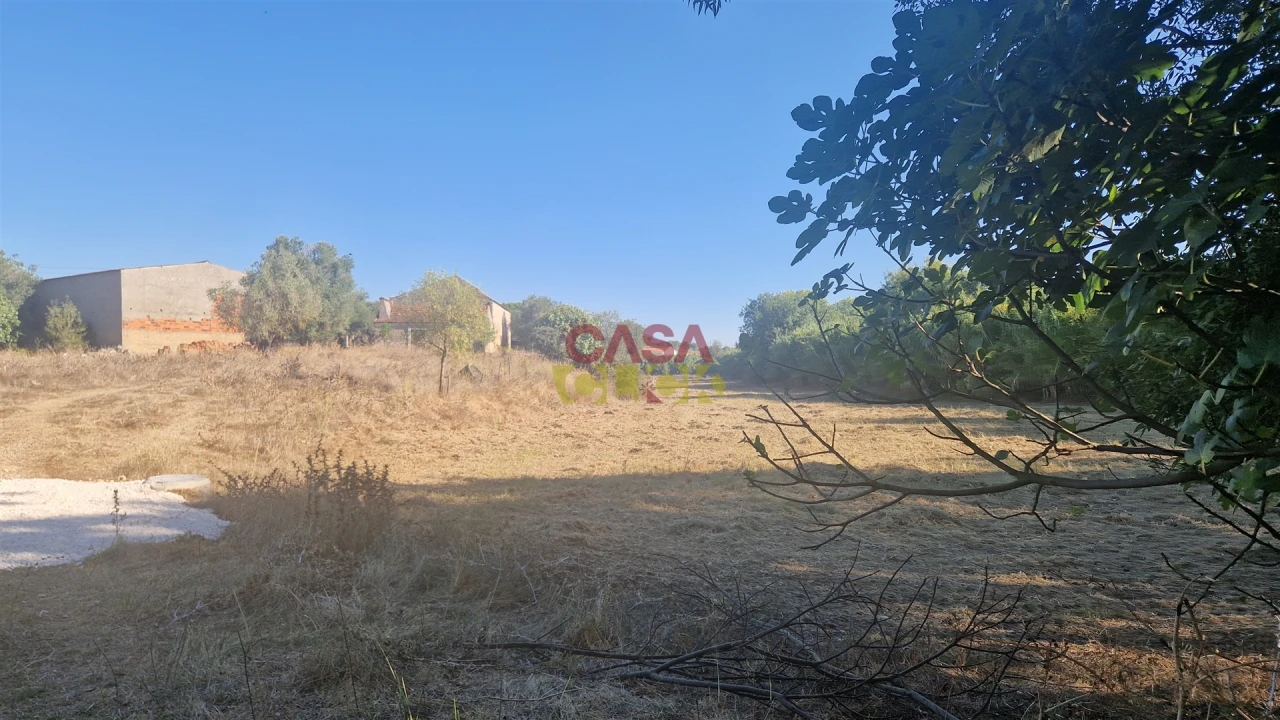 Moradia T6 para Venda em Alcanena e Vila Moreira Foto 40