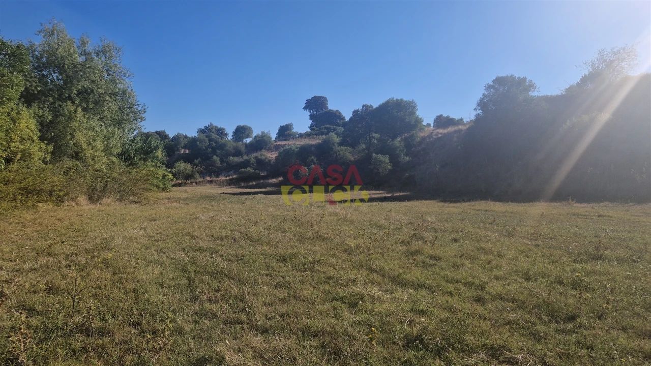 Moradia T6 para Venda em Alcanena e Vila Moreira Foto 38