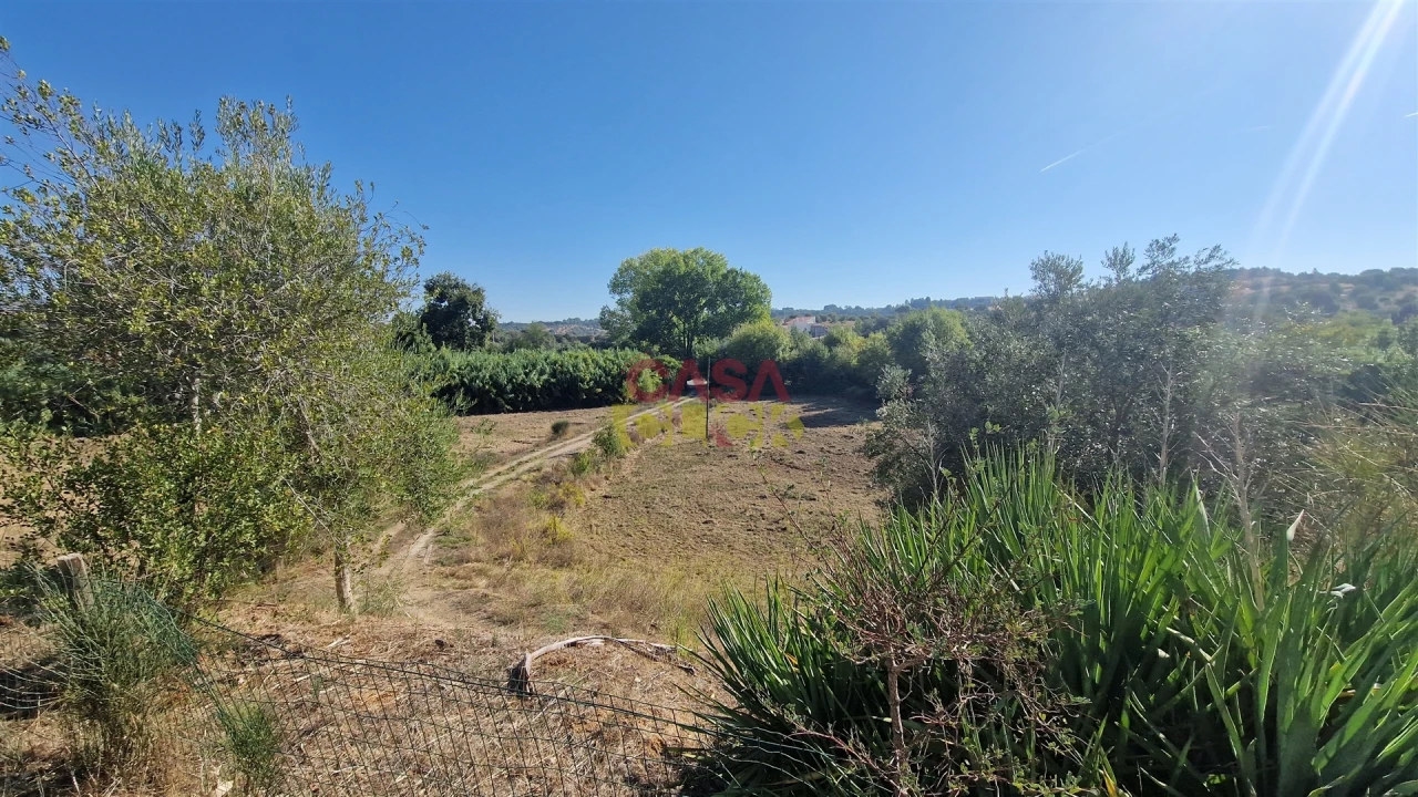 Moradia T6 para Venda em Alcanena e Vila Moreira Foto 61