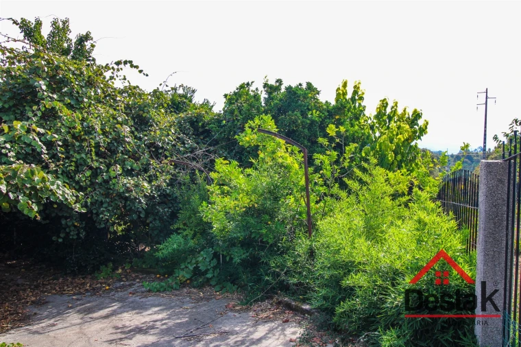 Moradia T6 para Venda em Carvalhais e Candal Foto 57