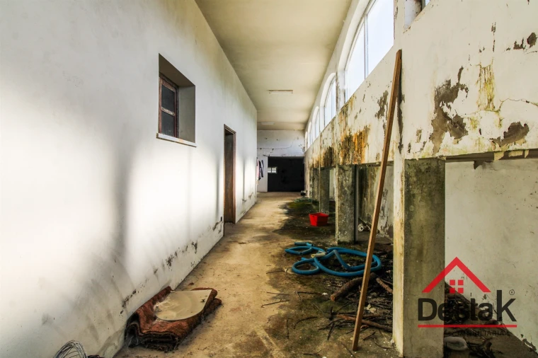 Moradia T6 para Venda em Carvalhais e Candal Foto 49