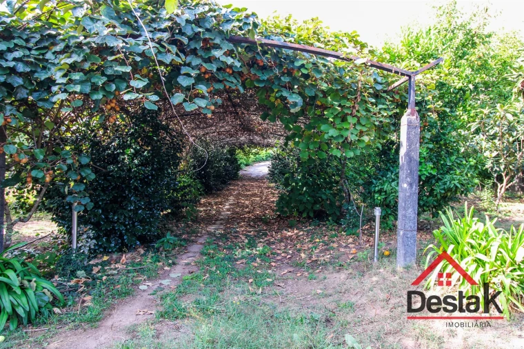 Moradia T6 para Venda em Carvalhais e Candal Foto 53