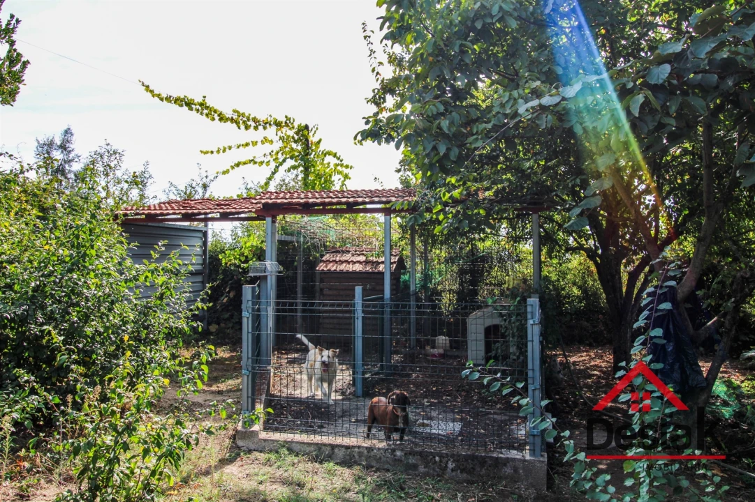 Moradia T6 para Venda em Carvalhais e Candal Foto 54