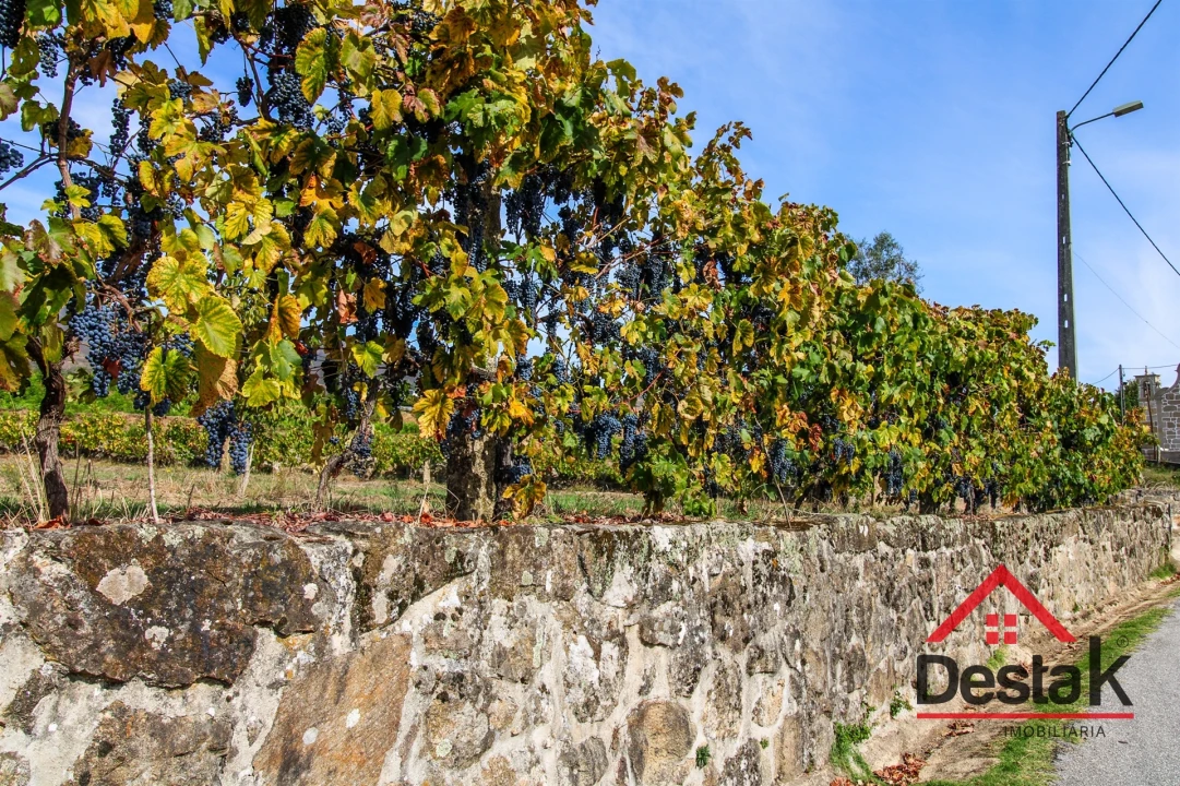 Moradia T6 para Venda em Carvalhais e Candal Foto 65