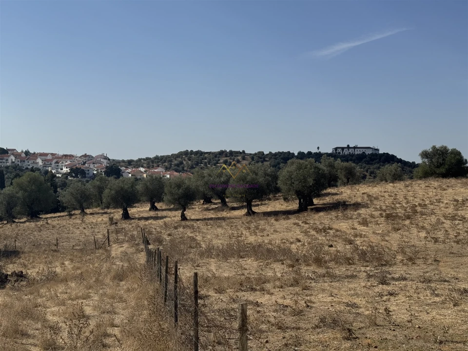 Quinta T3 para Venda em Nossa Senhora da Vila, Nossa Senhora do Bispo e Silveiras Foto 22
