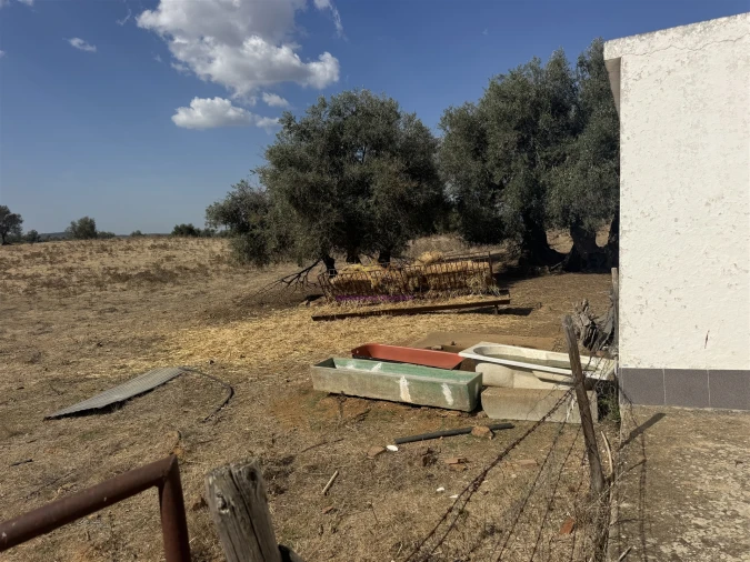 Quinta T3 para Venda em Nossa Senhora da Vila, Nossa Senhora do Bispo e Silveiras Foto 29