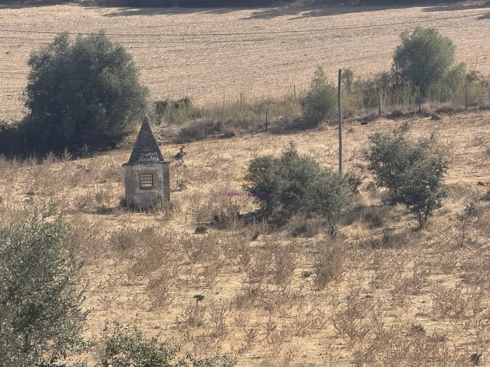 Quinta T3 para Venda em Nossa Senhora da Vila, Nossa Senhora do Bispo e Silveiras Foto 3