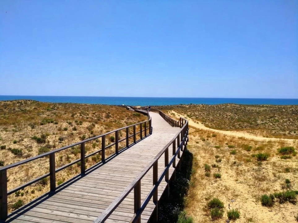 Moradia T3 para Venda em Alcantarilha e Pêra Foto 2