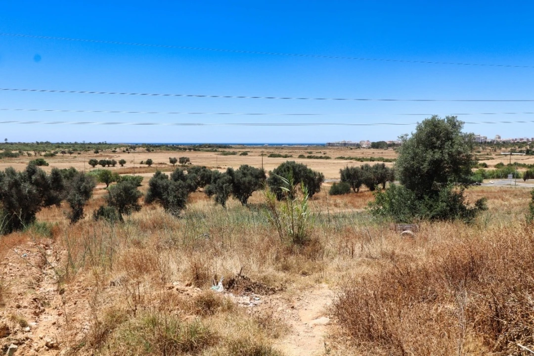 Moradia T3 para Venda em Alcantarilha e Pêra Foto 59