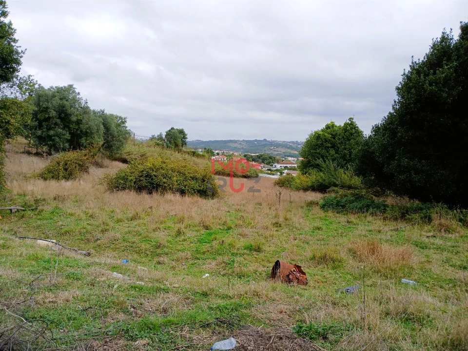 Terreno para Venda em Nossa Senhora do Pópulo, Coto e São Gregório Foto 7