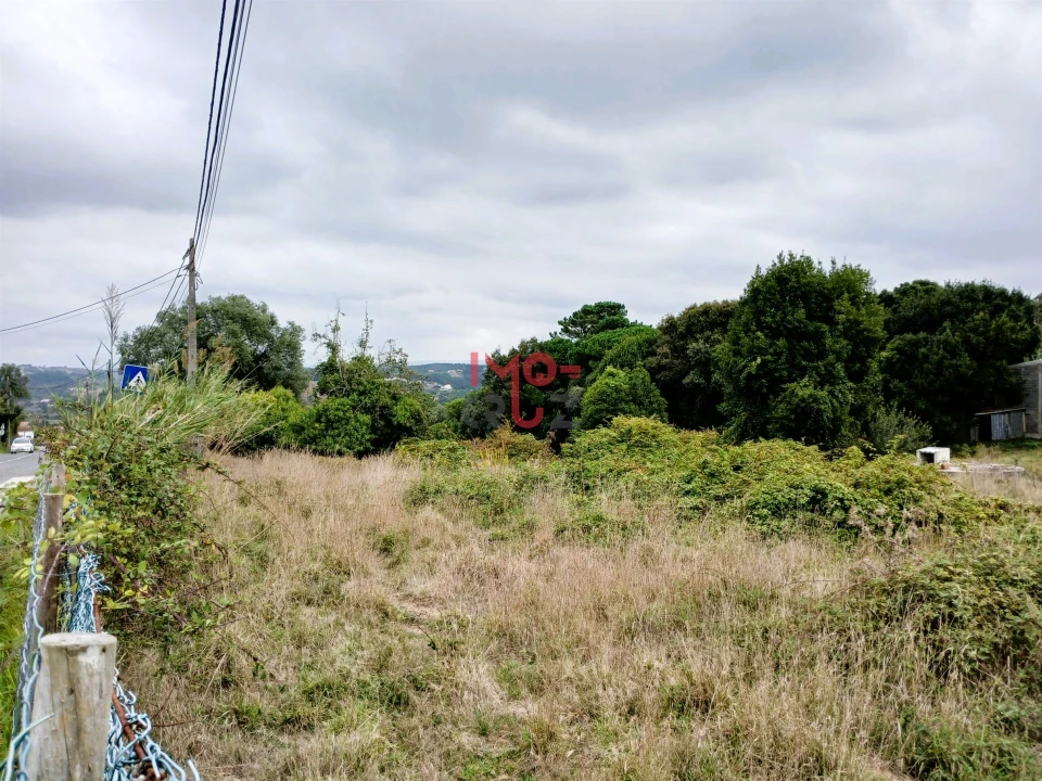 Terreno para Venda em Nossa Senhora do Pópulo, Coto e São Gregório Foto 3