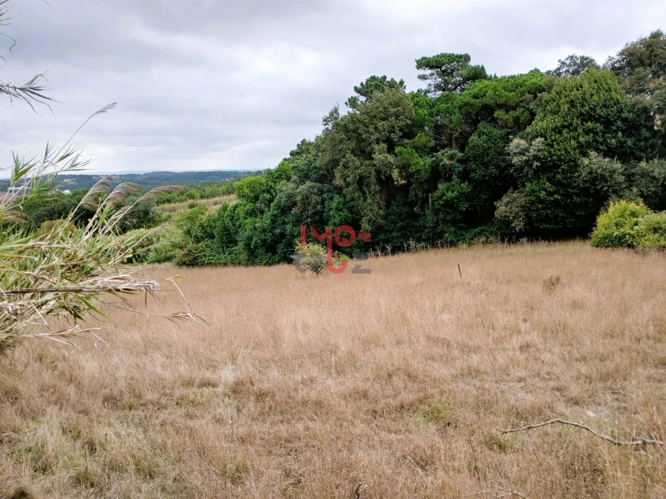 Terreno para Venda em Nossa Senhora do Pópulo, Coto e São Gregório Foto 5
