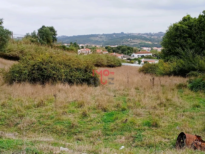 Terreno para Venda em Nossa Senhora do Pópulo, Coto e São Gregório Foto 2